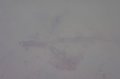 DSC02037