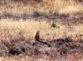 IMG_9477