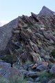 DSC03709