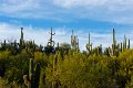 DSC03969