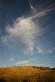 DSC03979