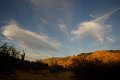 DSC03988