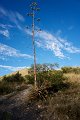 DSC04076