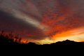 DSC04206