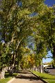 DSC04240