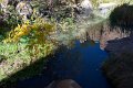 DSC04279