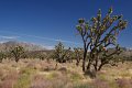 IMG_1435