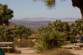 IMG_1485