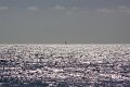 IMG_1529