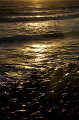 IMG_1551