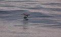 IMG_1634