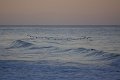IMG_1691