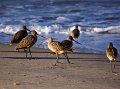 IMG_1725