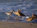 IMG_1726