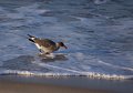 IMG_1731