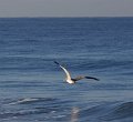 IMG_1740
