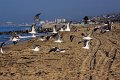 IMG_1748