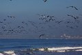 IMG_1750