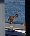 IMG_1758