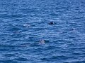 IMG_1777