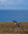 IMG_1915