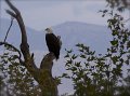 IMG_1924