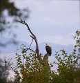 IMG_1927