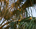 IMG_1934