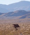 IMG_1945