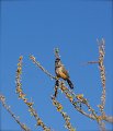 IMG_2014