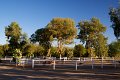 IMG_2054