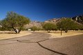 IMG_2062
