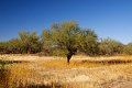 IMG_2067