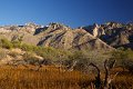 IMG_2074