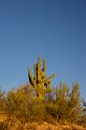 IMG_2080