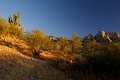IMG_2087