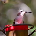 IMG_2218