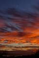 IMG_2285
