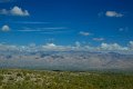 IMG_2299