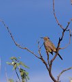 IMG_2356