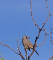 IMG_2358