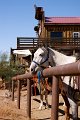 IMG_2510