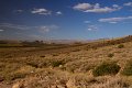 IMG_2528