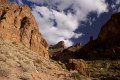 IMG_2538