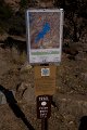 IMG_2593