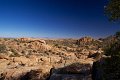 IMG_2612