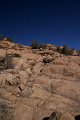 IMG_2619