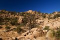 IMG_2620
