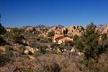 IMG_2629