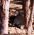 IMG_2906